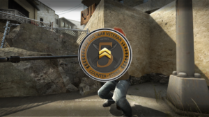 Private Rank 2 (5 Year Veteran Coin)